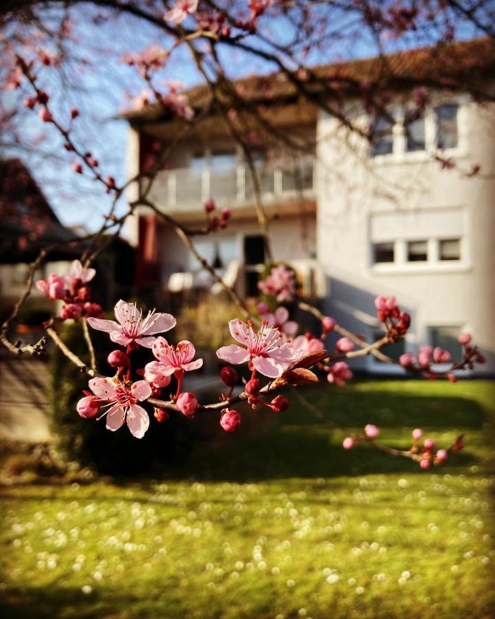 Ferienwohnung Im Aalbachtal - Uettingen Bei Wuerzburg Exterior foto