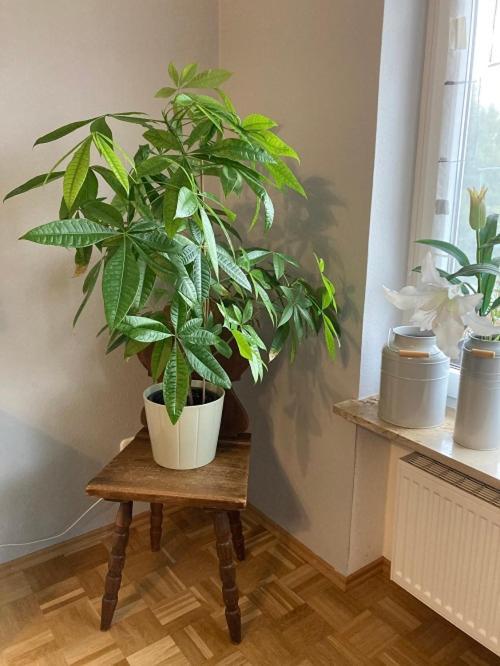 Ferienwohnung Im Aalbachtal - Uettingen Bei Wuerzburg Exterior foto